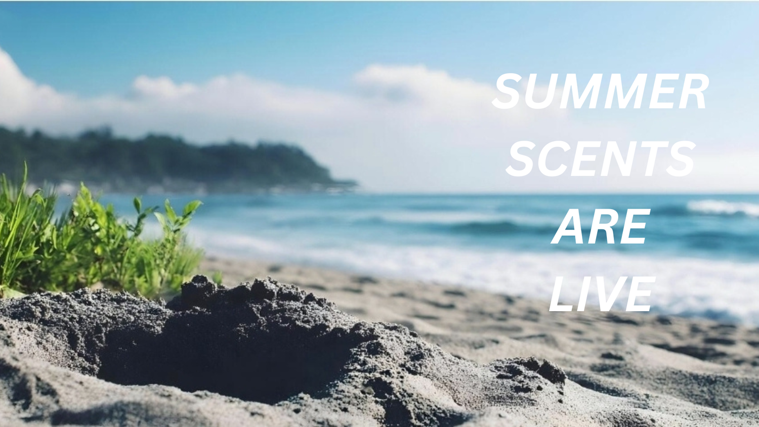 Summer Collection